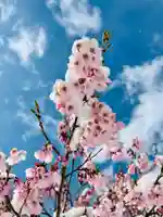 土津神社|こどもと出世の神さまの自然