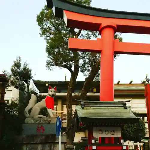 京濱伏見稲荷神社の狛犬