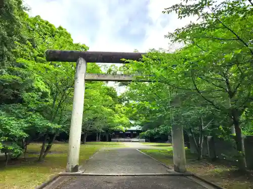 乃木神社の鳥居