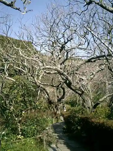 瑞泉寺の庭園