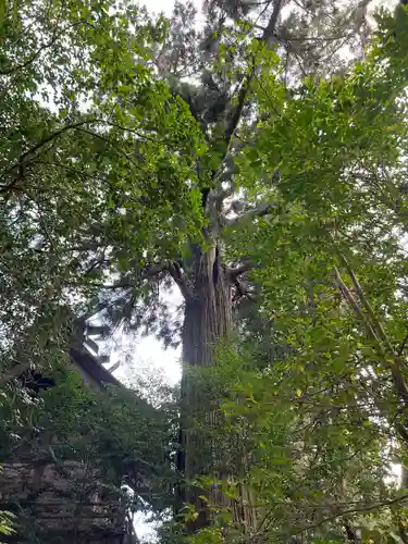 須佐神社(島根県)