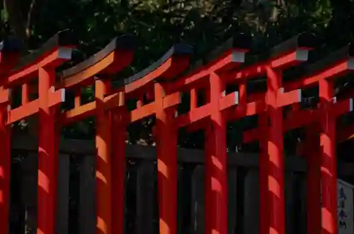 根津神社の鳥居