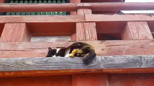 甲斐善光寺(山梨県)