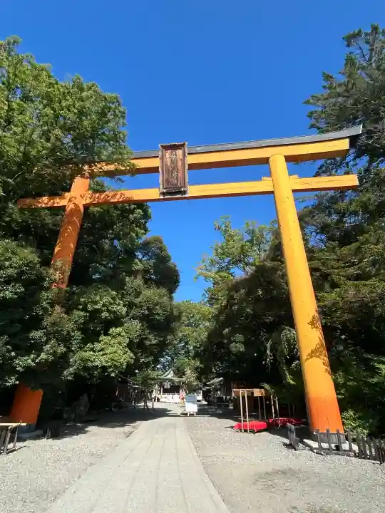 川越氷川神社(埼玉県)