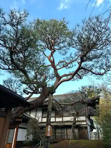 金剛院(東京都)
