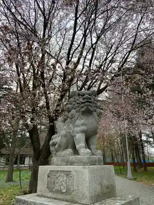 十勝護国神社の狛犬