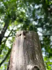 山家神社の自然