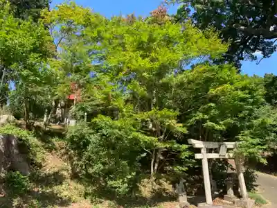 瘡守稲荷の鳥居