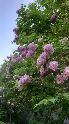 相馬神社の自然