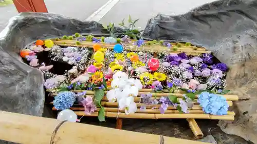 北海道護國神社の手水舎