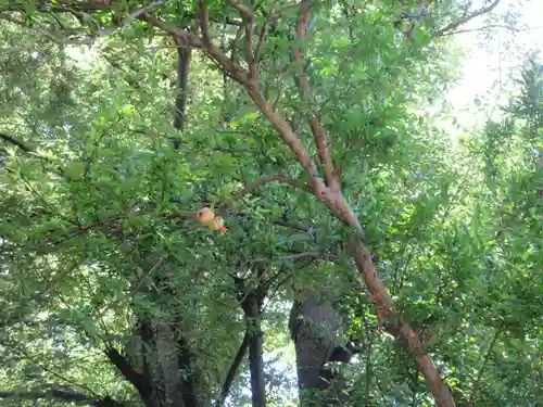 長昌寺(神奈川県)