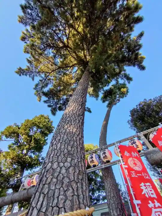 中野沼袋氷川神社(東京都)
