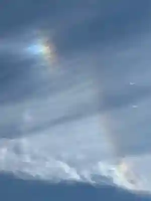 山名八幡宮(群馬県)