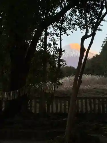 山宮浅間神社の{uncategorized: "未分類", other: "その他", undefined: "問題あり", building: "その他建物", grave: "お墓", sacred_gate: "鳥居", guardian: "狛犬", statue: "像", buddha: "仏像", history: "歴史", nature: "自然", garden: "庭園", animal: "動物", pagoda: "塔", temizu: "手水舎", mountain_gate: "山門・神門", sanctuary: "本殿・本堂", subordinate: "末社・摂社", art: "芸術", scenery: "景色", jizo: "地蔵", ema: "絵馬", goshuin: "御朱印", omikuji: "おみくじ", items: "授与品その他", amulet: "お守り", goshuincho: "御朱印帳", eats: "食事", festival: "お祭り", votive_dance: "神楽", shichigosan: "七五三参", wedding: "結婚式", experience: "体験その他", initially: "初詣", around: "周辺", anti_infection: "感染症対策"}