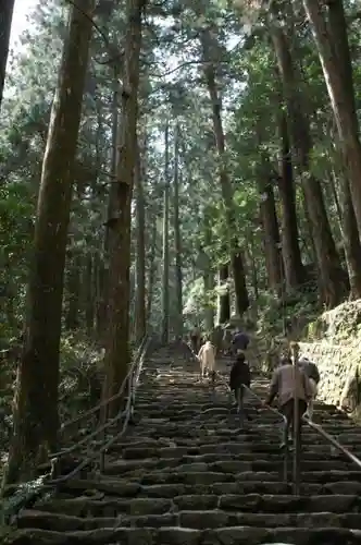 飛瀧神社（熊野那智大社別宮）の自然