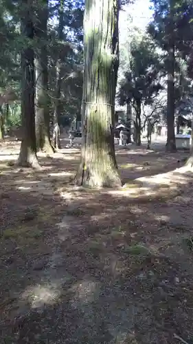 香取星神社のその他建物