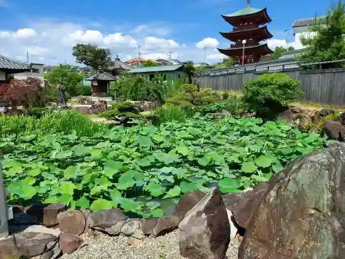 家原寺(大阪府)