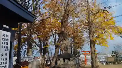 星置神社(北海道)