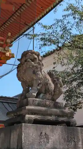 八坂神社(祇園さん)の狛犬