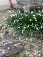 崇道天皇社(奈良県)