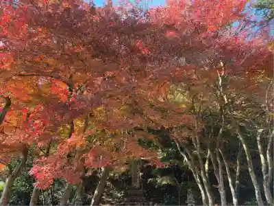 円通寺(兵庫県)