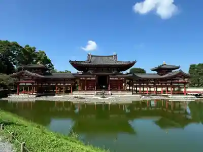 平等院の{uncategorized: "未分類", other: "その他", undefined: "問題あり", building: "その他建物", grave: "お墓", sacred_gate: "鳥居", guardian: "狛犬", statue: "像", buddha: "仏像", history: "歴史", nature: "自然", garden: "庭園", animal: "動物", pagoda: "塔", temizu: "手水舎", mountain_gate: "山門・神門", sanctuary: "本殿・本堂", subordinate: "末社・摂社", art: "芸術", scenery: "景色", jizo: "地蔵", ema: "絵馬", goshuin: "御朱印", omikuji: "おみくじ", items: "授与品その他", amulet: "お守り", goshuincho: "御朱印帳", eats: "食事", festival: "お祭り", votive_dance: "神楽", shichigosan: "七五三参", wedding: "結婚式", experience: "体験その他", initially: "初詣", around: "周辺", anti_infection: "感染症対策"}