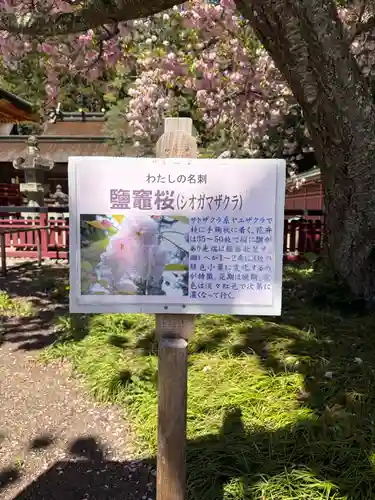 志波彦神社・鹽竈神社(宮城県)