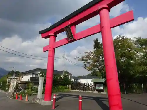 白笹稲荷神社の鳥居