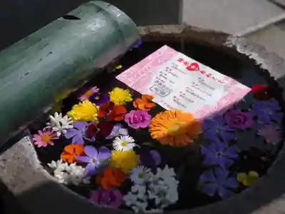 今市報徳二宮神社(栃木県)