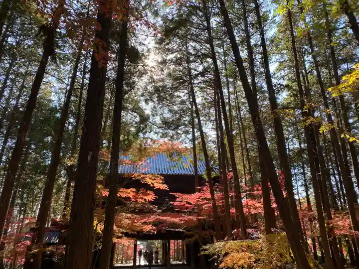 曹源寺(岡山県)