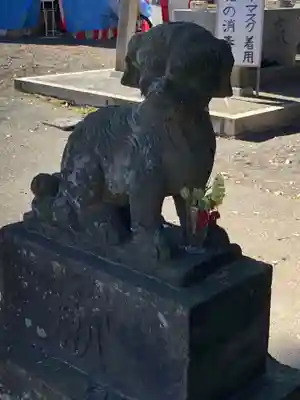 東村山八坂神社の狛犬