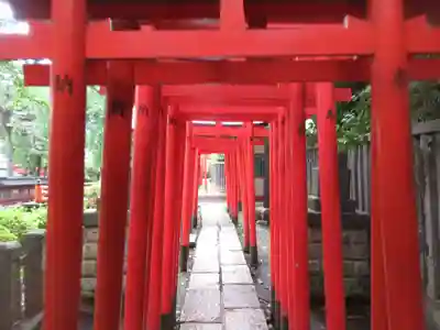 乙女稲荷神社(東京都)