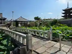 家原寺(大阪府)