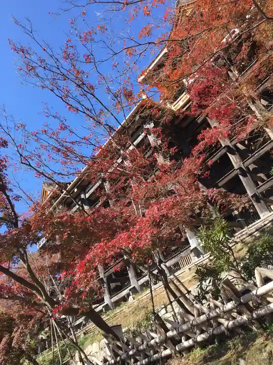 清水寺の本殿・本堂