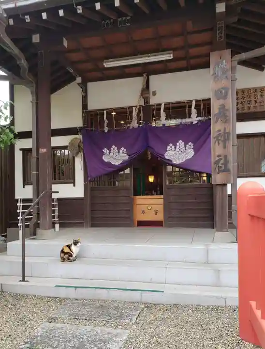 猿田彦神社の本殿・本堂