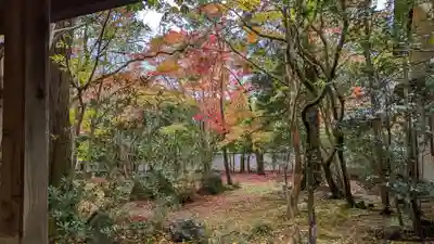 蓮華寺（洛北蓮華寺）(京都府)