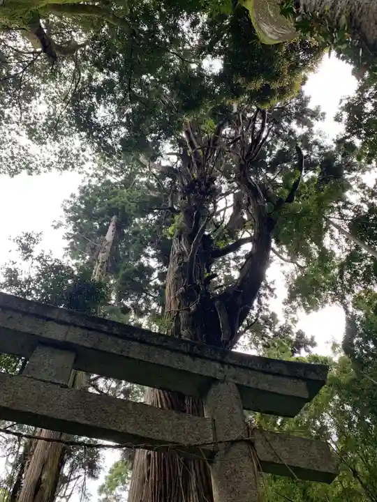 十二所神社(千葉県)