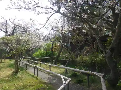 英勝寺の庭園