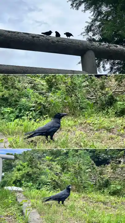 山上大神宮(北海道)