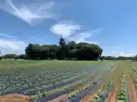 八幡神社(千葉県)