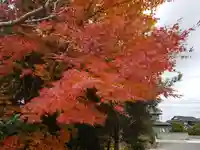 大神山神社本宮(鳥取県)
