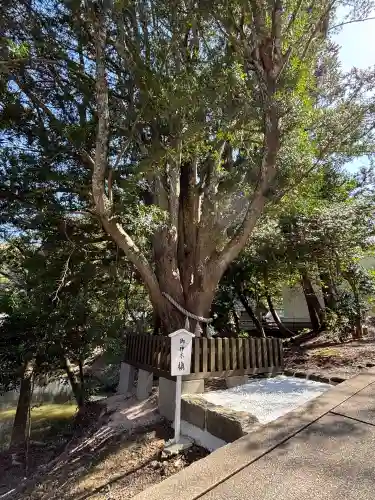 安房神社の{uncategorized: "未分類", other: "その他", undefined: "問題あり", building: "その他建物", grave: "お墓", sacred_gate: "鳥居", guardian: "狛犬", statue: "像", buddha: "仏像", history: "歴史", nature: "自然", garden: "庭園", animal: "動物", pagoda: "塔", temizu: "手水舎", mountain_gate: "山門・神門", sanctuary: "本殿・本堂", subordinate: "末社・摂社", art: "芸術", scenery: "景色", jizo: "地蔵", ema: "絵馬", goshuin: "御朱印", omikuji: "おみくじ", items: "授与品その他", amulet: "お守り", goshuincho: "御朱印帳", eats: "食事", festival: "お祭り", votive_dance: "神楽", shichigosan: "七五三参", wedding: "結婚式", experience: "体験その他", initially: "初詣", around: "周辺", anti_infection: "感染症対策"}
