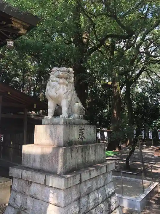 大宮八幡宮の狛犬