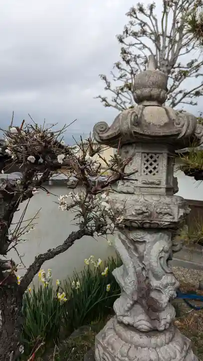 大松禅寺(京都府)