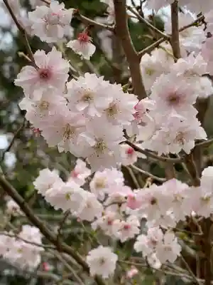 彌美神社(福井県)