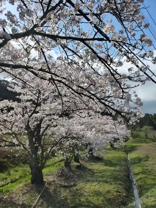 高司神社〜むすびの神の鎮まる社〜の自然