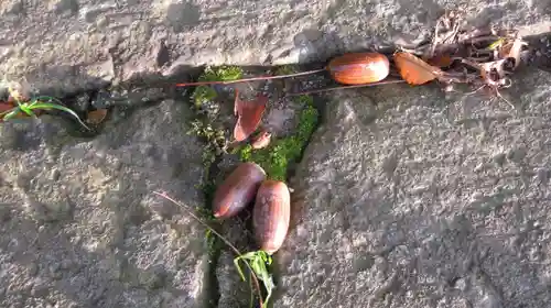 見日神社の自然