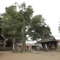 八枝神社のその他建物