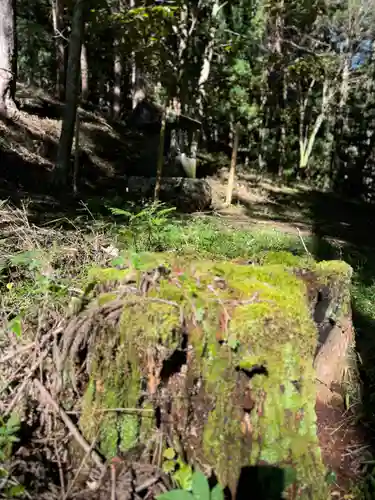 諏訪大社(長野県)