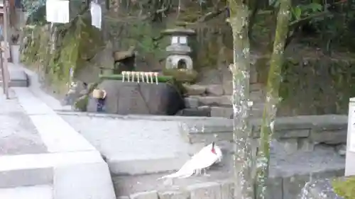 石上神宮の動物